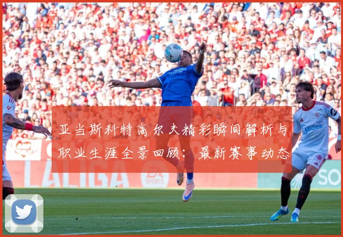 亚当斯科特高尔夫精彩瞬间解析与职业生涯全景回顾：最新赛事动态与深度分析